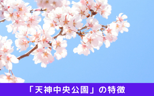 この春のお出かけに 福岡市中央区の人気スポット 天神中央公園 賃貸最大仲介手数料無料のg One