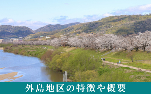 淀川河川公園における外島地区の特徴や概要は？
