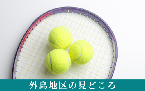 淀川河川公園における外島地区の見どころは？