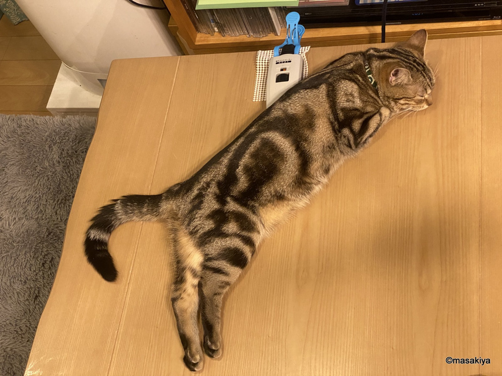 机の上の画像