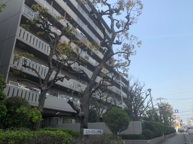 おすすめ物件　エバーグリーン門真の画像