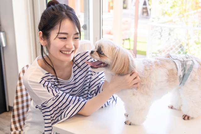 ペット不可物件で内緒でペットを飼ってしまったら？の画像