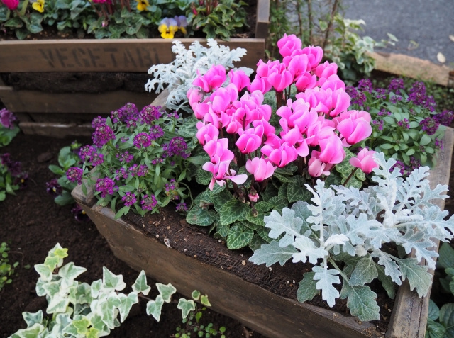 ガーデニングを始めたい方へ！盛岡市でおすすめの花屋2選の画像