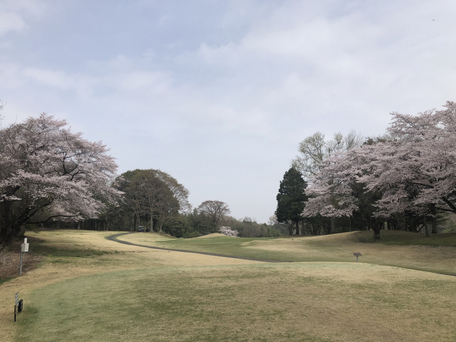 第2回の画像