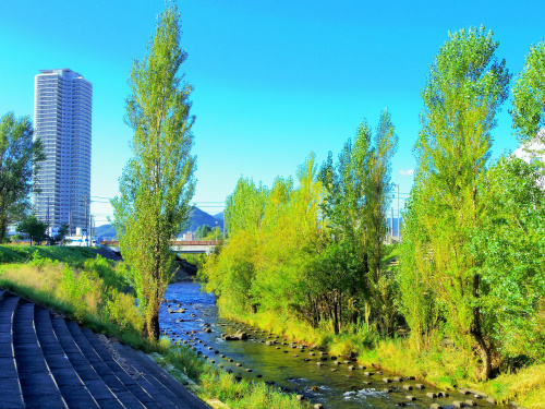 【コラム】自然と利便性の融合エリア！「札幌市西区」の住みやすさとは？の画像