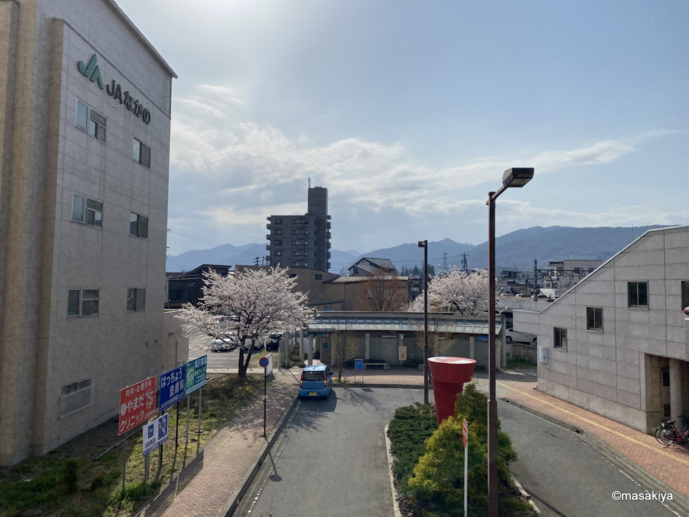 春の画像