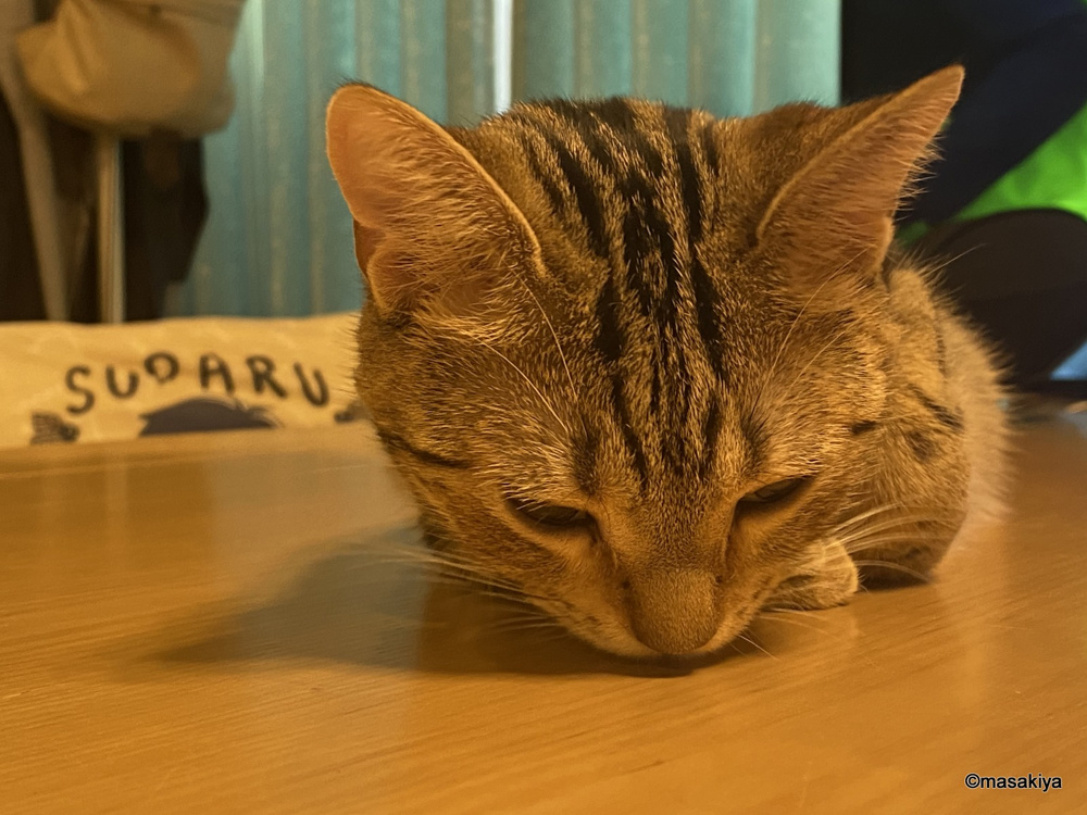 お部屋が借りられないの画像