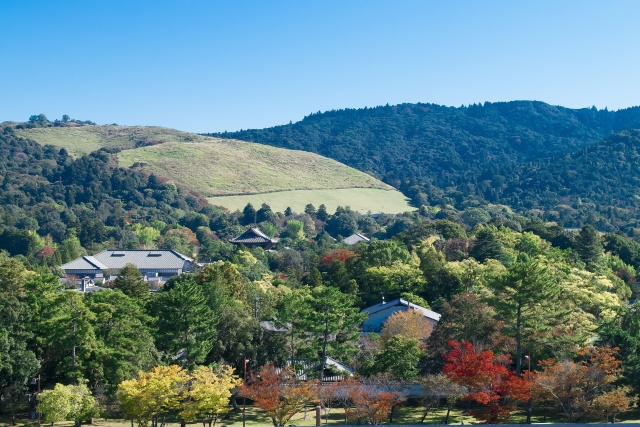 奈良市での実施背景