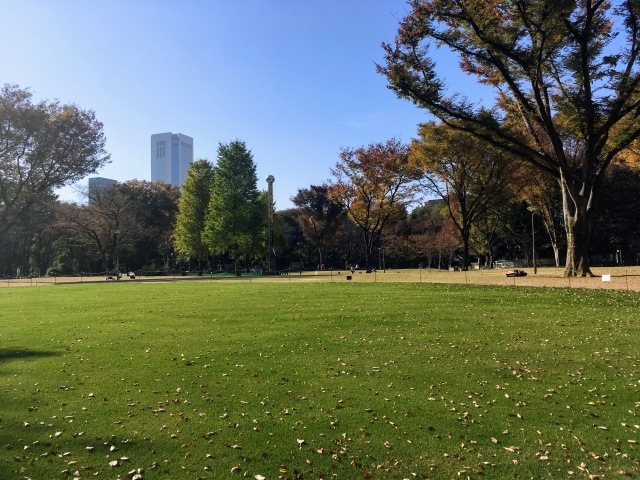 新宿区はファミリーで遊べる公園もあるおすすめの街！の画像