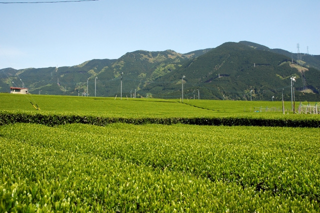 南アルプス市は子育て支援が豊富で住みやすい！気になる政策の内容とは？の画像