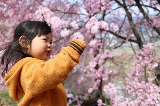 都心へも便利で自然も身近！習志野市で人気のおすすめ公園