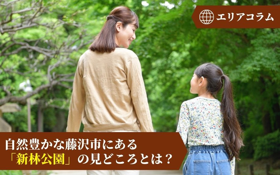 自然豊かな藤沢市にある「新林公園」の見どころとは？の画像