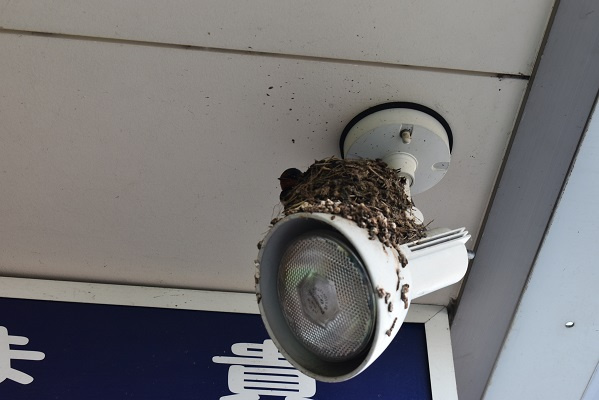 〇〇の入居者が決まりました。の画像