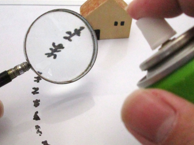 賃貸管理で虫が発生したときの対処法や駆除費用の負担についての画像