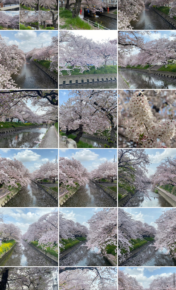 新しい設備が続々と…！の画像