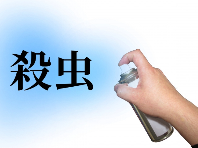 新築だからこそシロアリ対策をする理由とは？