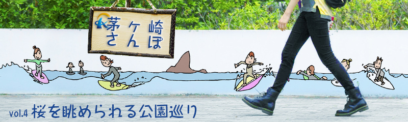 桜を眺められる公園巡りの画像