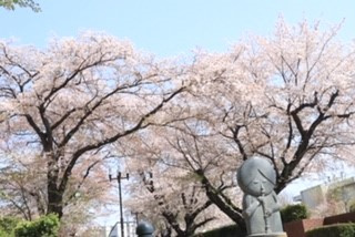 気づけば4月ですね。。。の画像