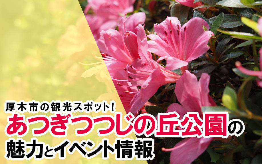 厚木市の観光スポット！あつぎつつじの丘公園の魅力とイベント情報の画像