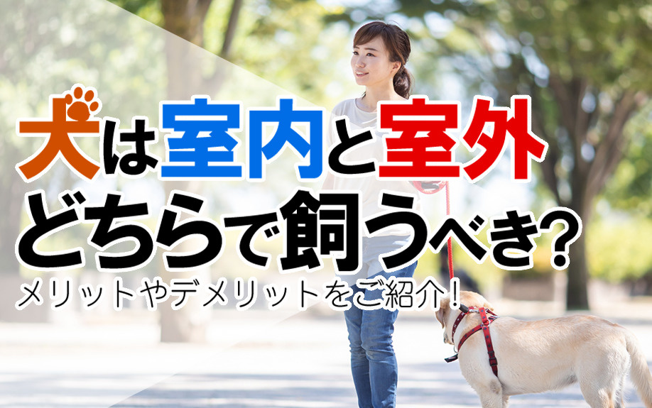 犬は室内と室外どちらで飼うべき？　メリットやデメリットをご紹介！の画像
