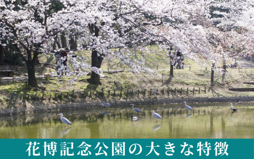 花博記念公園・鶴見緑地の大きな特徴
