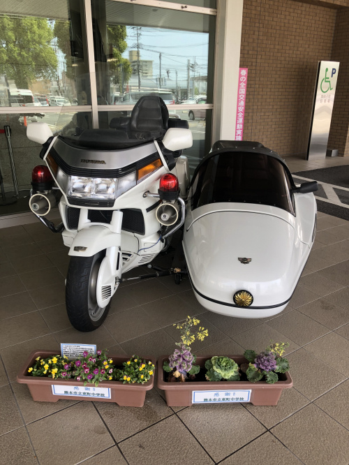 通行禁止道路通行許可証（熊本市　不動産）の画像