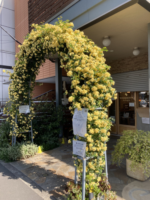 今日のランチは・・・の画像