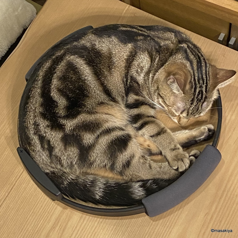丸いものの画像