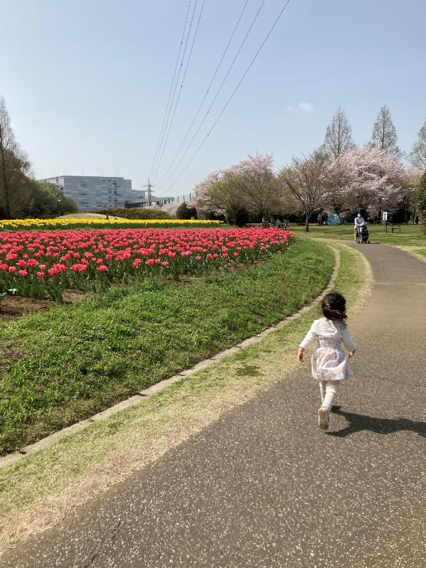 お花がキレイな季節になりました！の画像