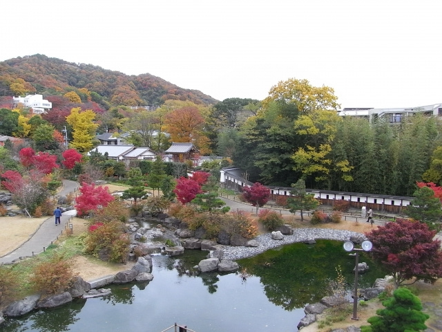 密をさけたおでかけに！家族でゆったり過ごせる池田市でおすすめの公園2選の画像