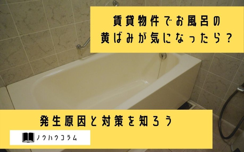 賃貸物件でお風呂の黄ばみが気になったら？発生原因と対策を知ろう