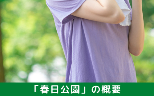 春日市のおすすめスポット「春日公園」の概要