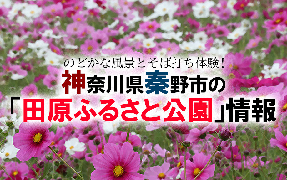 のどかな風景とそば打ち体験！神奈川県秦野市の「田原ふるさと公園」情報の画像