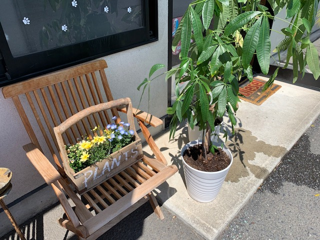 季節はすっかり春。の画像