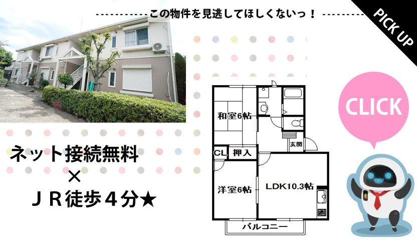 PICKUPの画像
