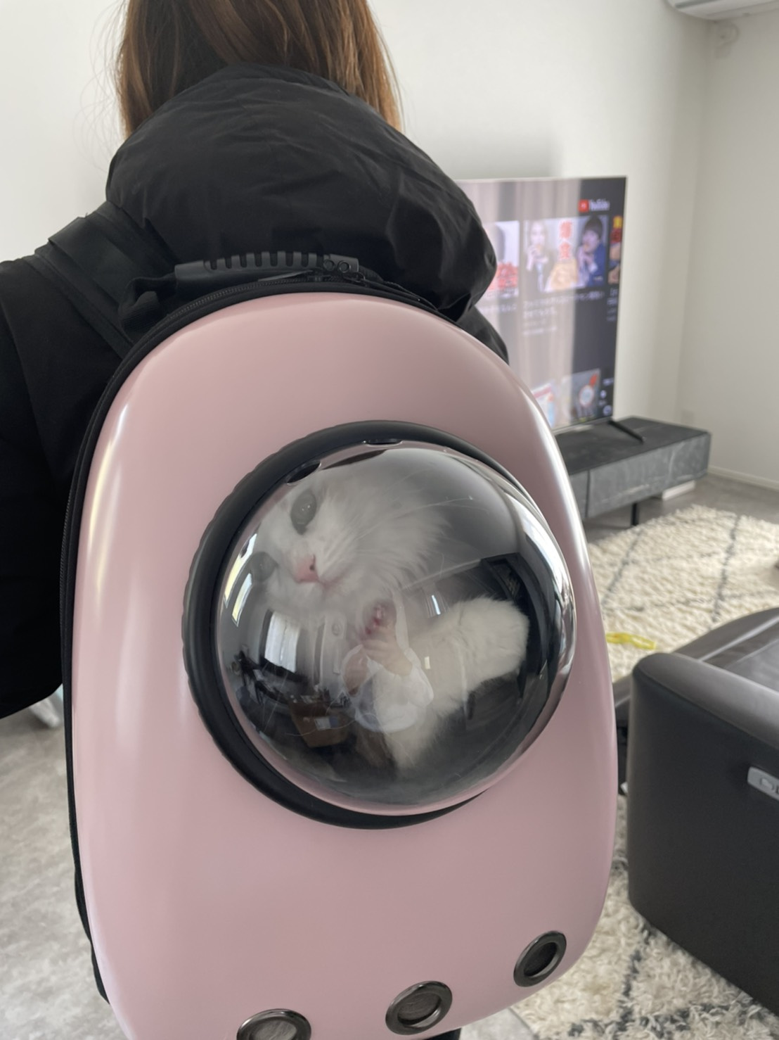 お出かけ用！の画像