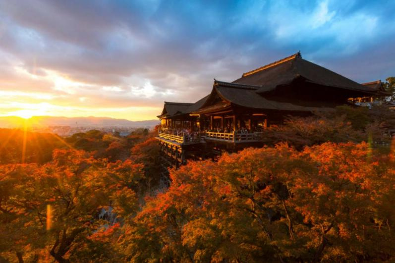 日本が上位？の画像
