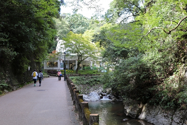 大人も楽しめる展示が豊富！箕面市にある子どもが学べる箕面公園昆虫館とは？の画像