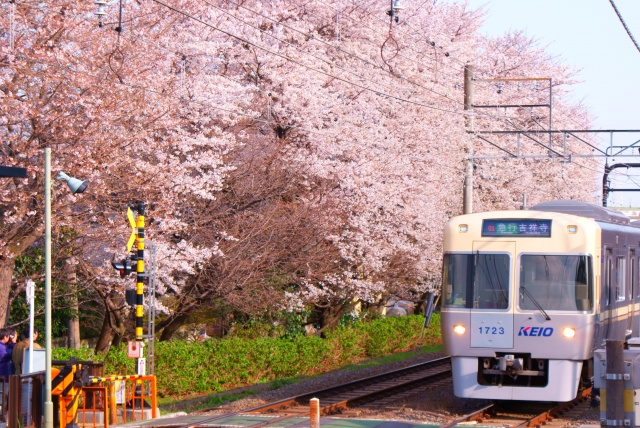 世田谷区東松原駅エリアの気になる住みやすさ！治安やアクセスは？の画像