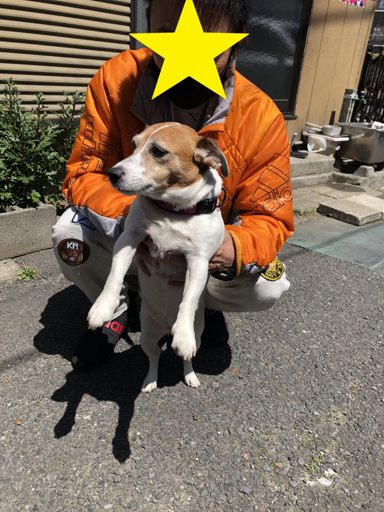 おめでとうございました♪の画像