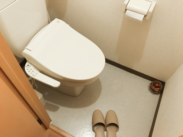 【トイレにスリッパは必要？】まとめ