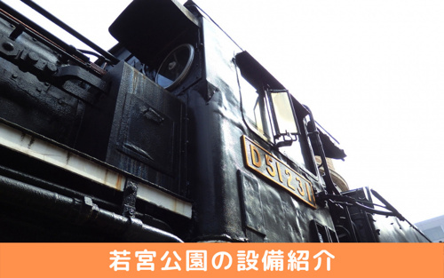 厚木市にある若宮公園の設備紹介