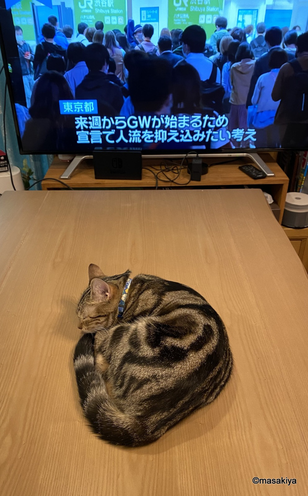 寝姿の画像