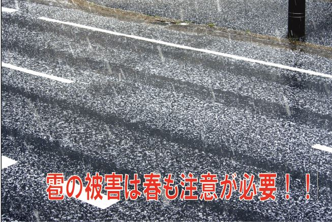 雹の被害は春も注意が必要!!の画像