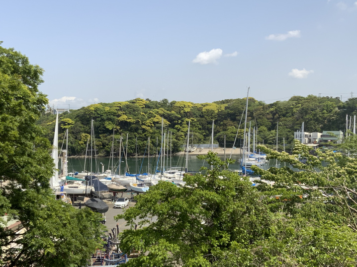 油壺湾エリアは穏やかな風景が広がります♪の画像