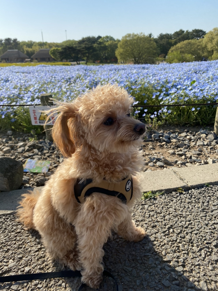 休日♪の画像