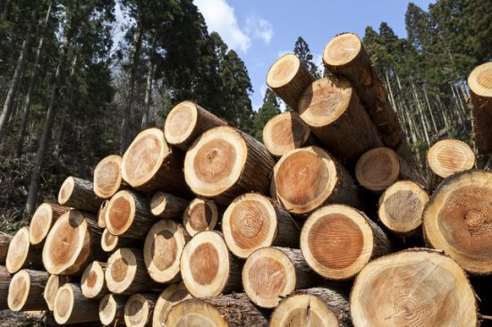 ウッドショックと八王子の不動産との画像