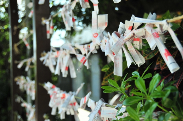 栃木県鹿沼市でおすすめの神社2選！魅力やご利益を紹介しますの画像