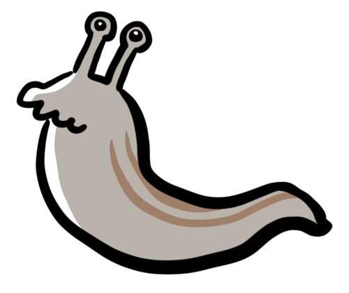 害虫対策について 大阪市の賃貸 株式会社next Up ネクストアップ