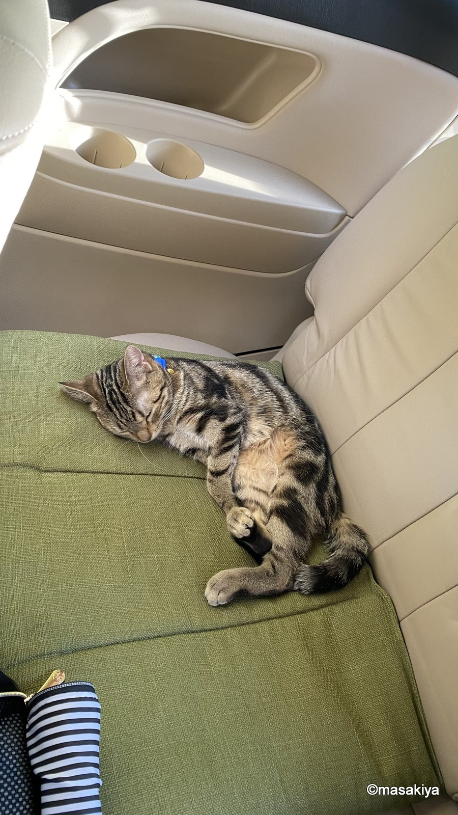 ドライブの画像